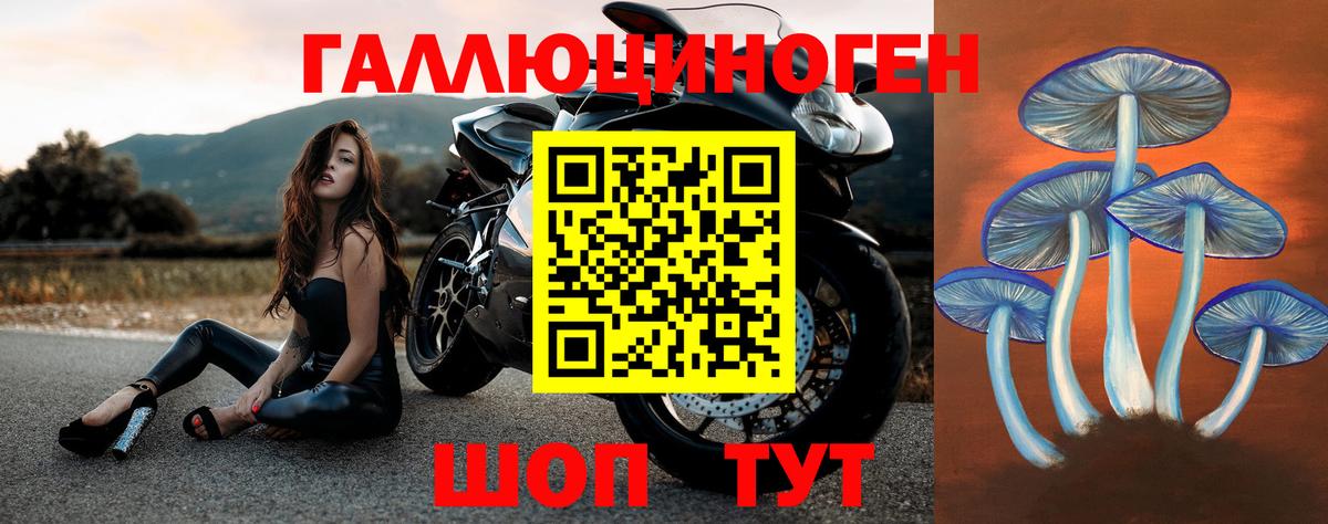 Галлюциногенные грибы прущие грибы Волгодонск
